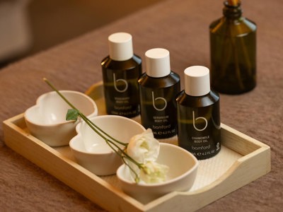 Cashel Palace Spa Treatments (23)