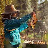 Galtee Honey Farm Web Ready 4 748X1024 (1)