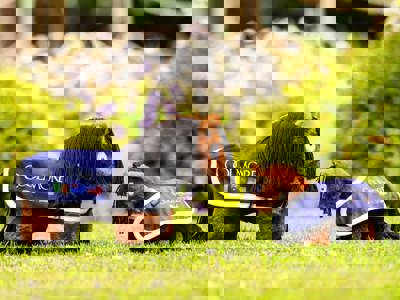 Cashel Palace 25 06 25 6392 1