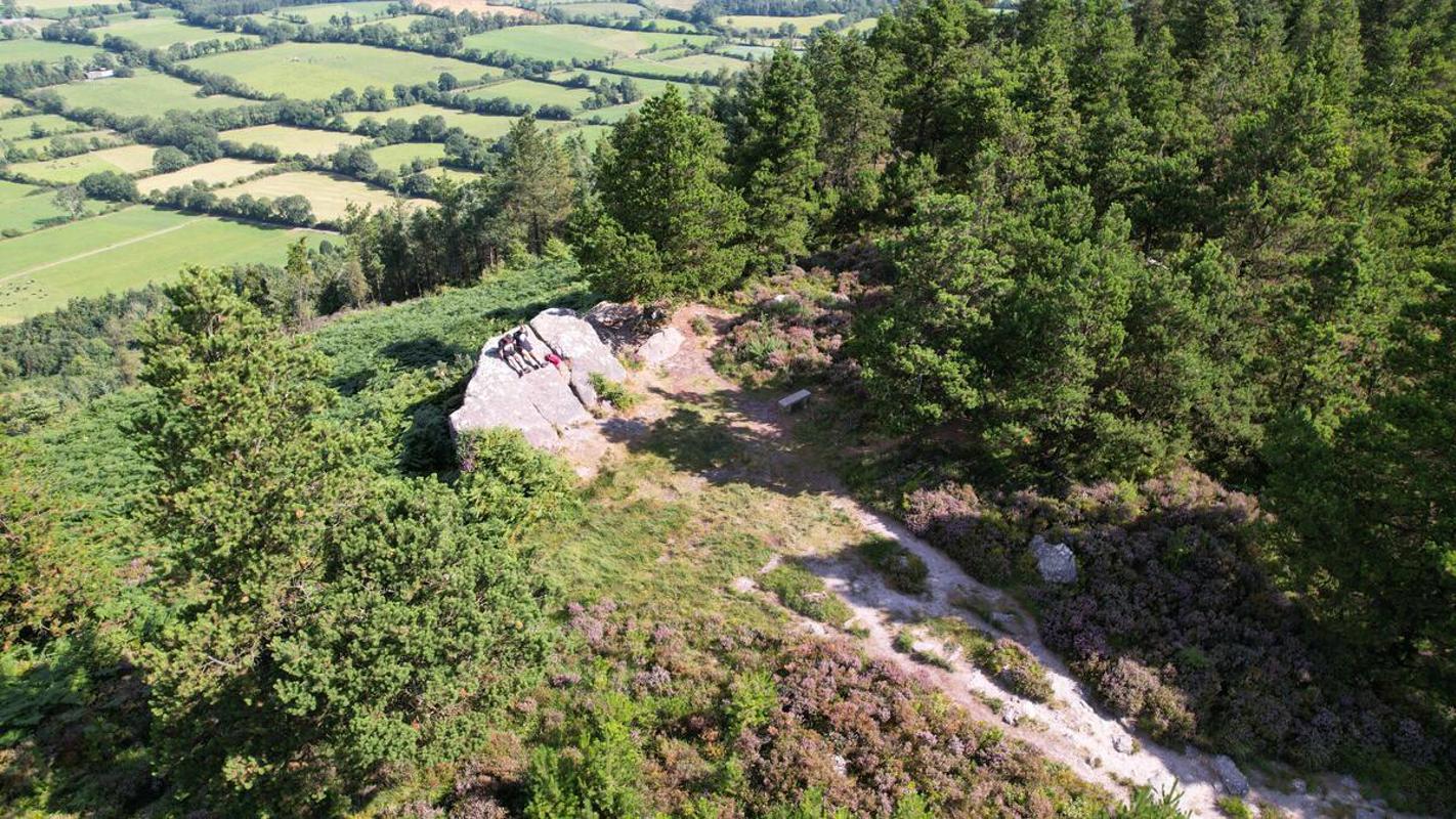 Glen Of Aherlow, Rock An Thorabh Loop, Trail, Co Tipperary TI7SQH (2)