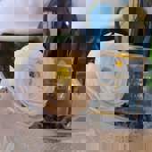 Cashel Palace Hotel Champagne