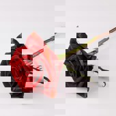 Engin Akyurt 5Y7 Bmelzsy Unsplash