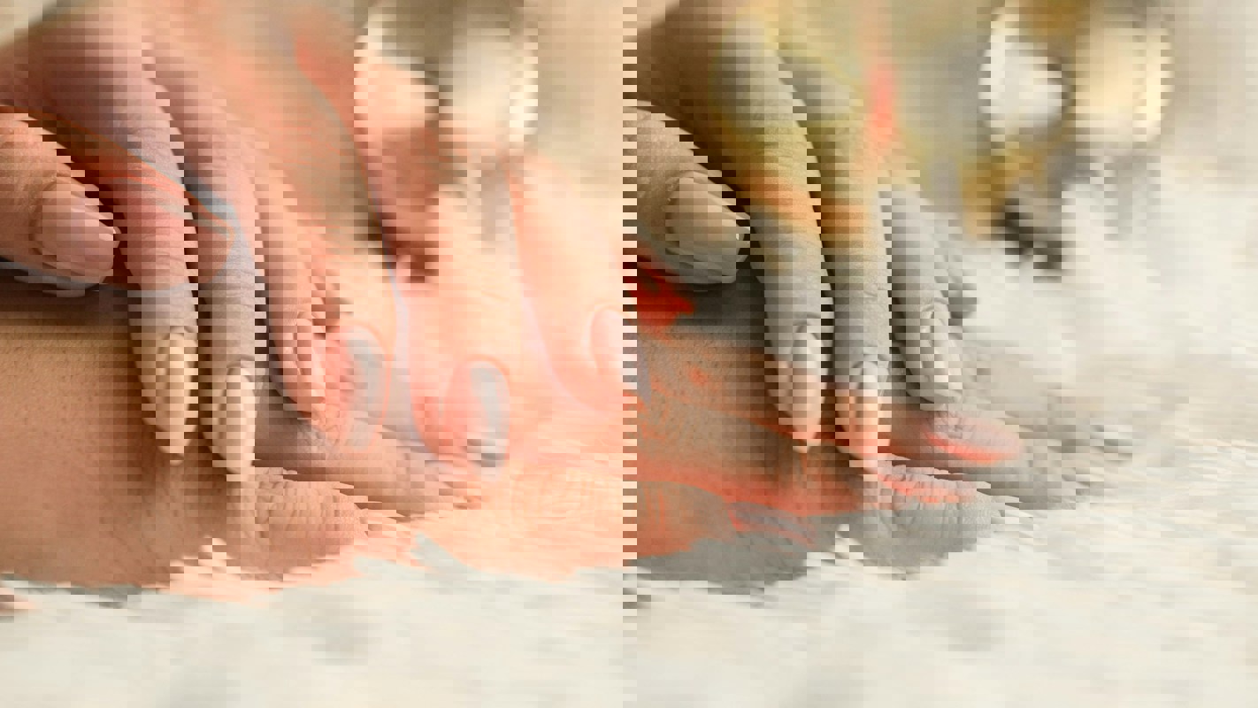 Chelson Tamares Sycc0gqi5s4 Unsplash