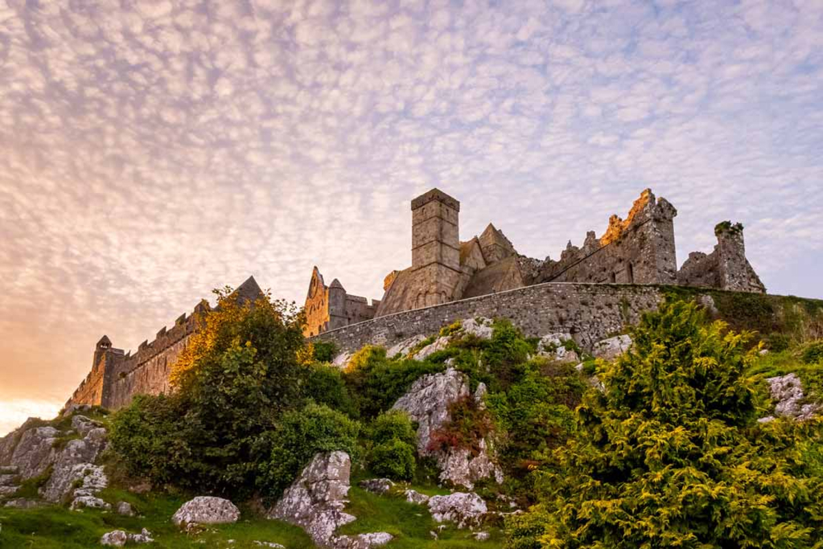 Taste Of Tipperary