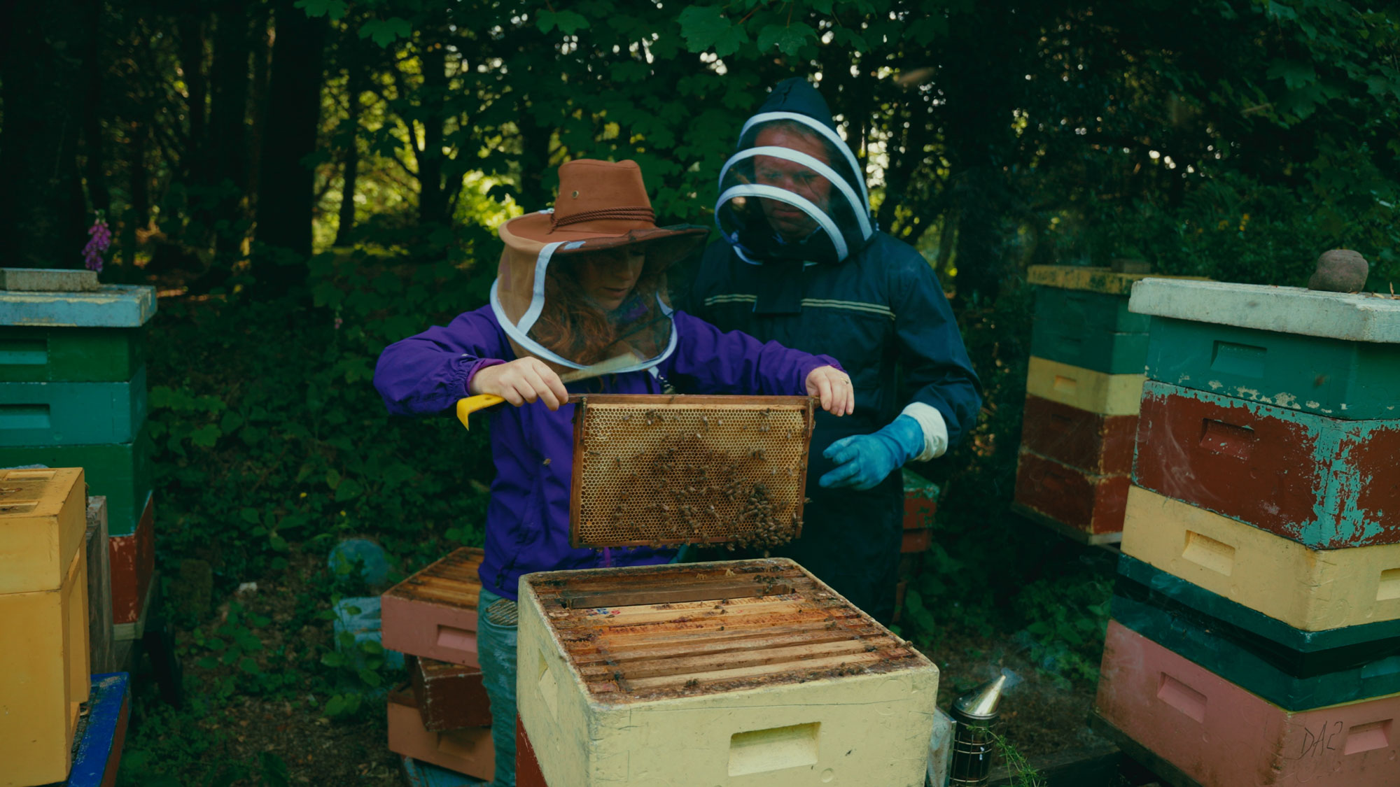 Cashel Palace Land To Table (Galtee Honey Farm Beekeeping With Owner Aoife Nic Giolla Coda)