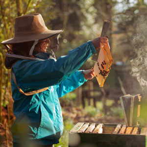 Galtee Honey Farm Web Ready 4 748X1024