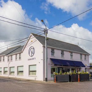 Sadlers Fethard (15)