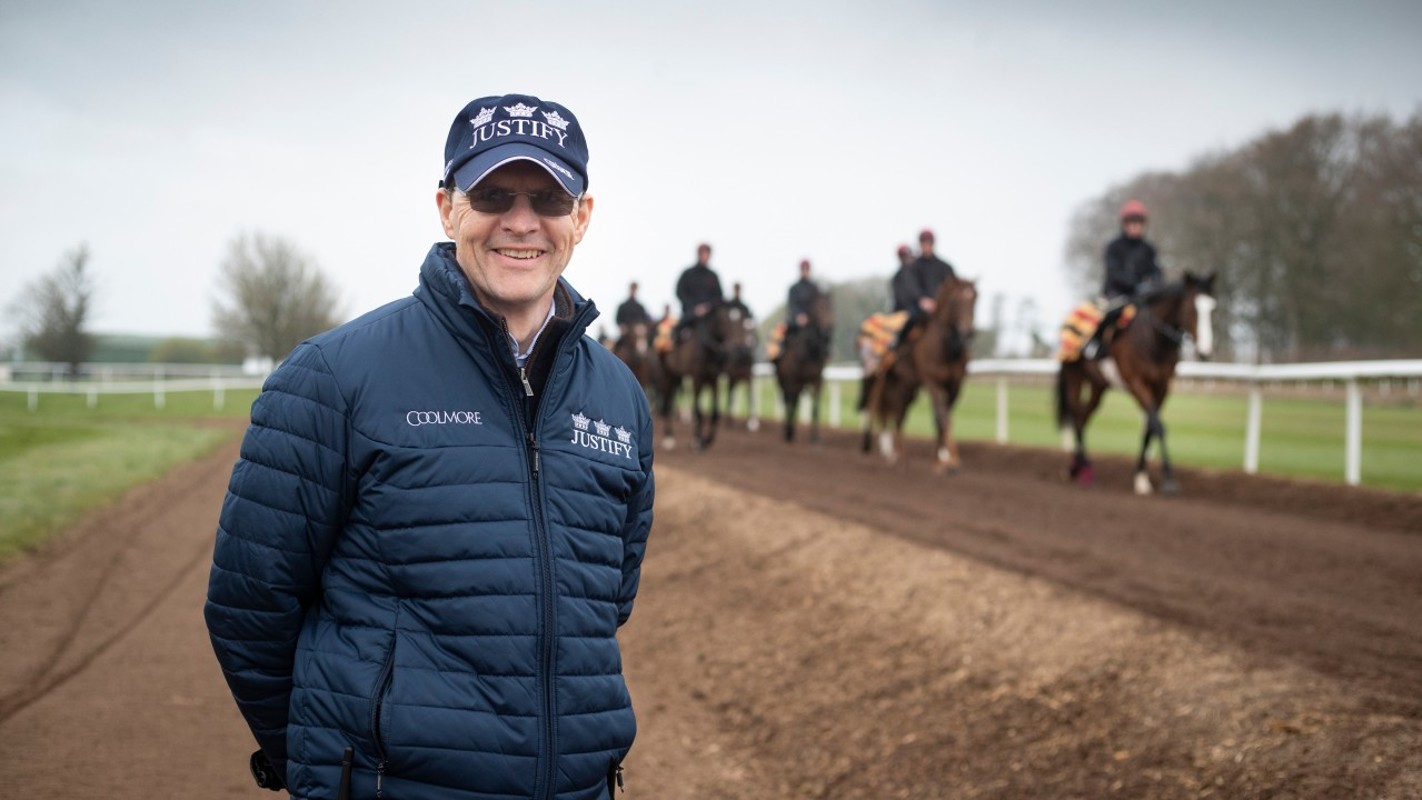 Bally Doyle Racing Royalty