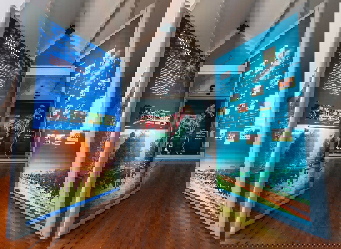 Fethard Horse Country Experience