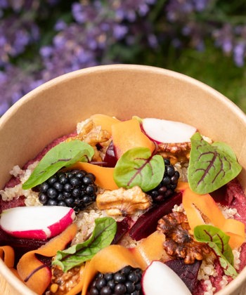 CP Recharge Salad Bowls 17 06 26 7116 1