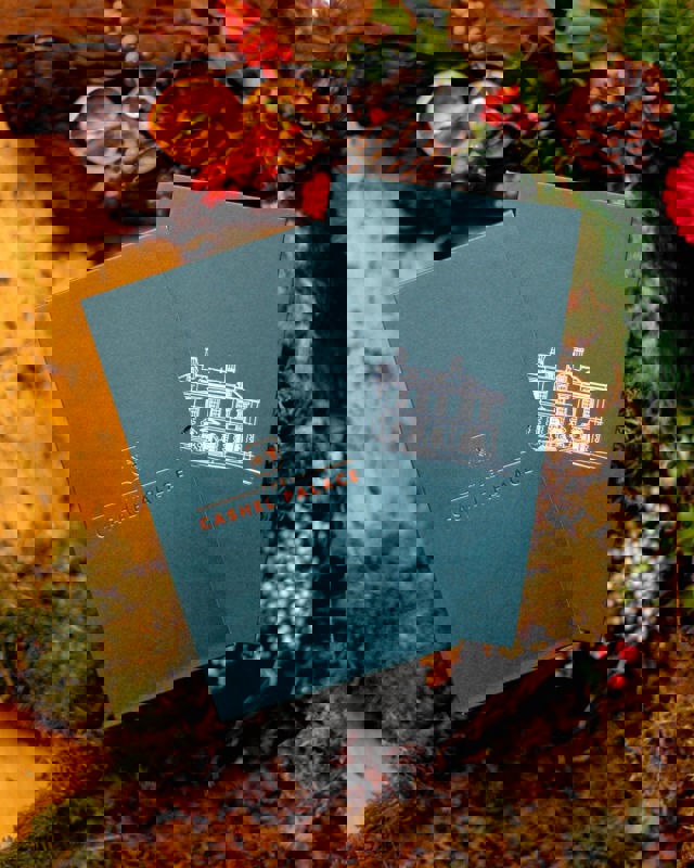 491834617 1453723772545437 3436206638868193321 N